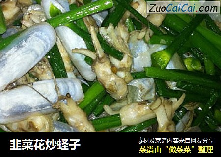 韭菜花炒蛏子