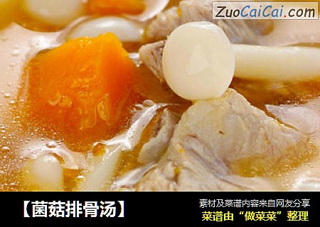 【菌菇排骨汤】