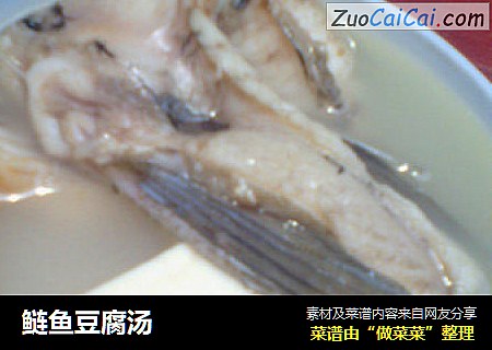 鲢鱼豆腐汤