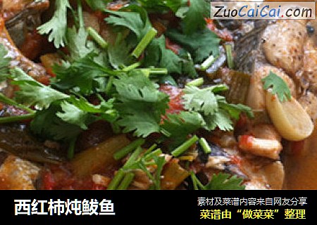 西红柿炖鲅鱼