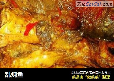 乱炖鱼