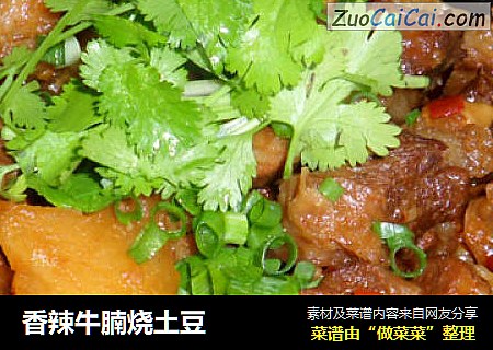 香辣牛腩烧土豆