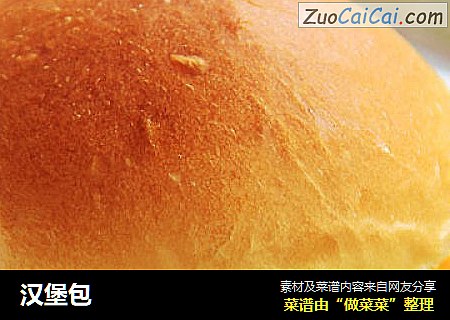 汉堡包