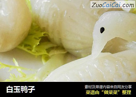 白玉鸭子