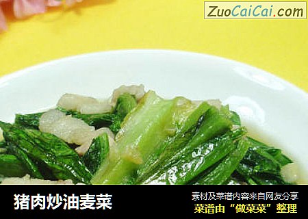 猪肉炒油麦菜