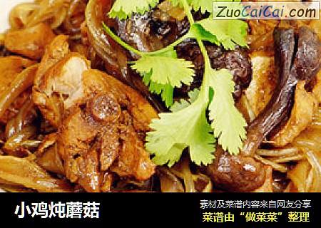 小鸡炖蘑菇