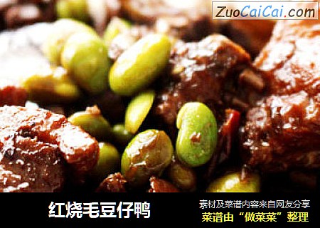 　　红烧毛豆仔鸭