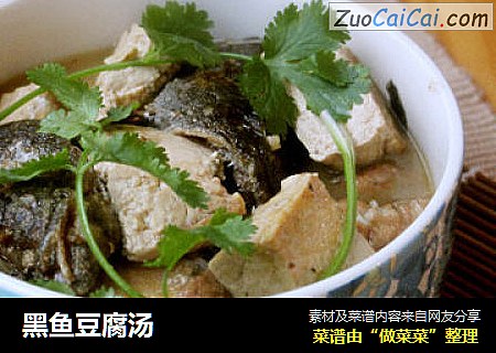 黑鱼豆腐汤