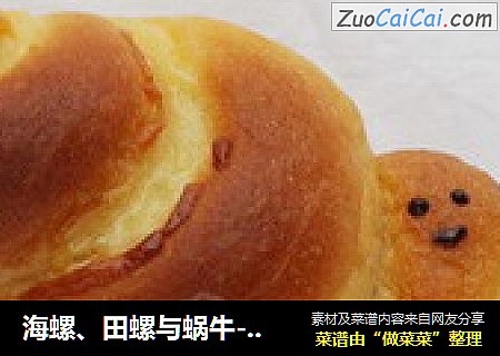 海螺、田螺与蜗牛--本是一家！（蜗牛面包）