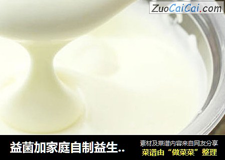 益菌加家庭自制益生菌老酸奶