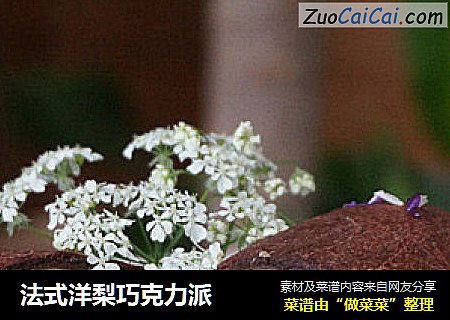 法式洋梨巧克力派