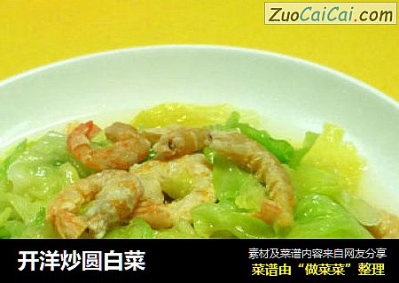 开洋炒圆白菜