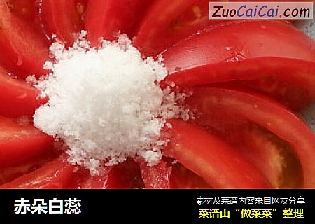 赤朵白蕊