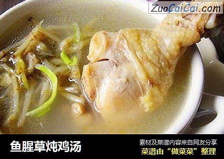 鱼腥草炖鸡汤