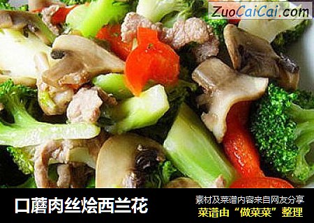 口蘑肉丝烩西兰花