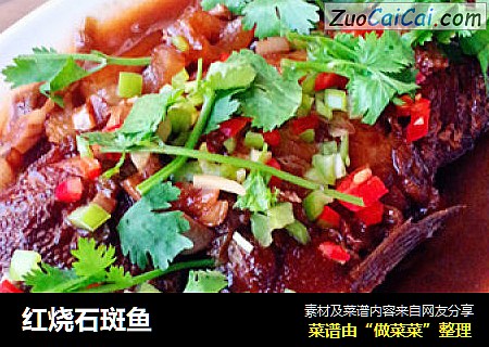 红烧石斑鱼