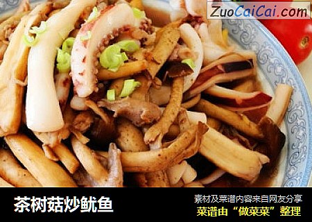 茶树菇炒鱿鱼
