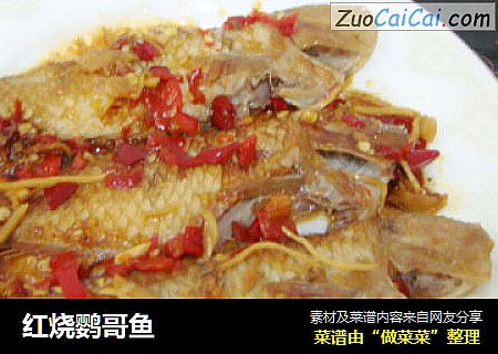 红烧鹦哥鱼