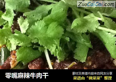 零嘴麻辣牛肉干