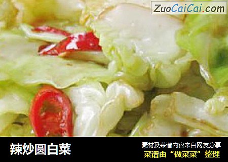 辣炒圆白菜