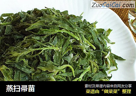 蒸扫帚苗