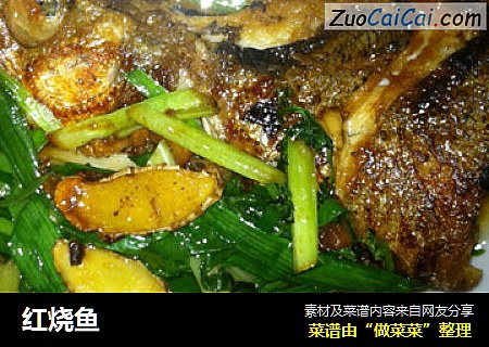 红烧鱼