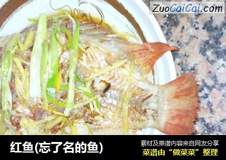 红鱼(忘了名的鱼)