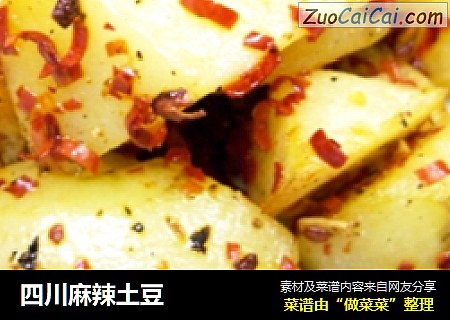 四川麻辣土豆