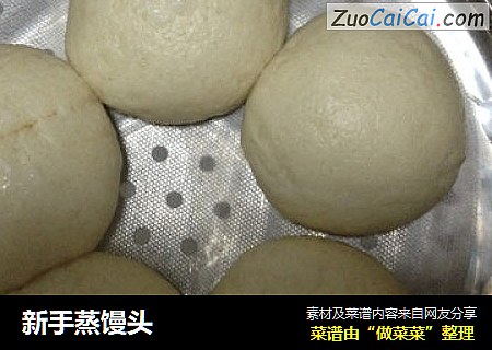 新手蒸馒头