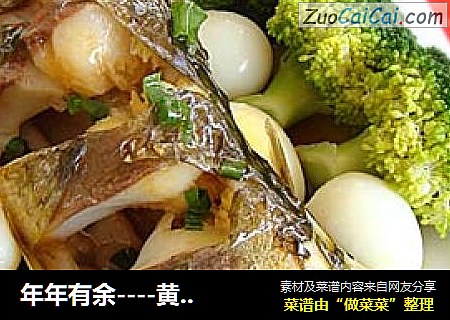 年年有余----黄尾鲫藏珠