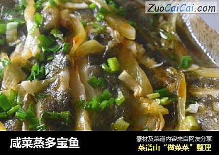 咸菜蒸多宝鱼