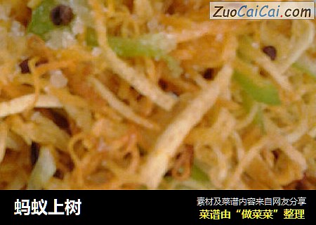 蚂蚁上树