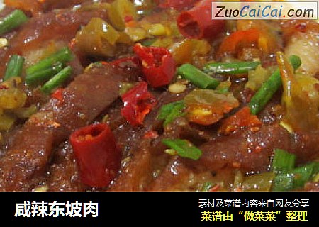 咸辣东坡肉