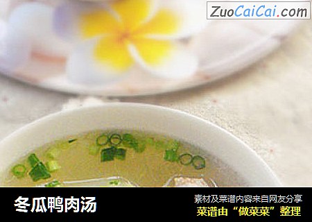 冬瓜鸭肉汤