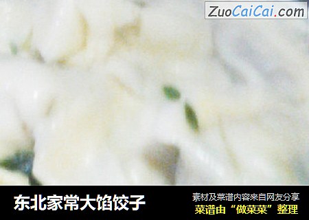 东北家常大馅饺子