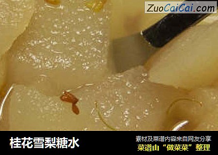 桂花雪梨糖水