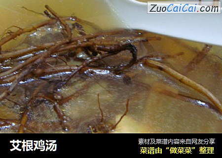 艾根鸡汤