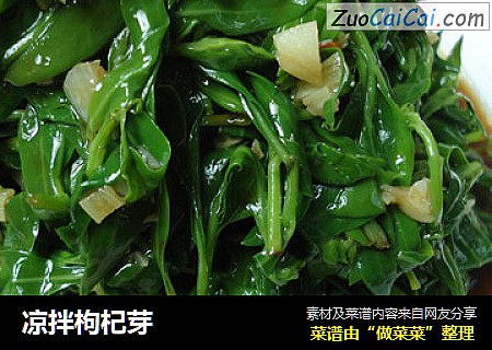 凉拌枸杞芽