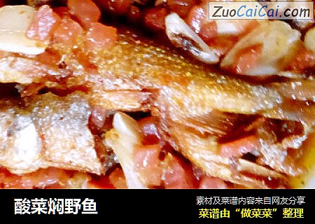 酸菜焖野鱼