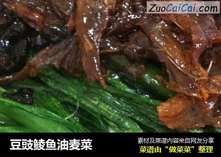 豆豉鲮鱼油麦菜
