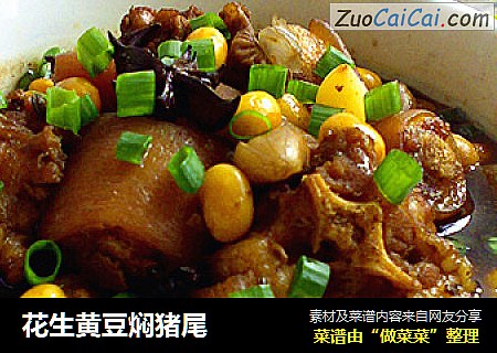 花生黄豆焖猪尾