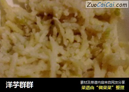 洋芋群群