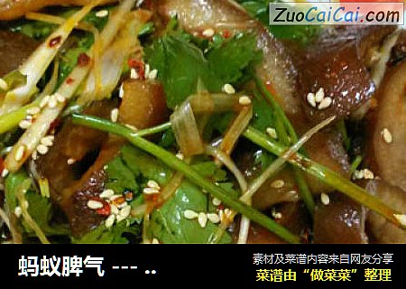 蚂蚁脾气---香辣拌猪脸肉
