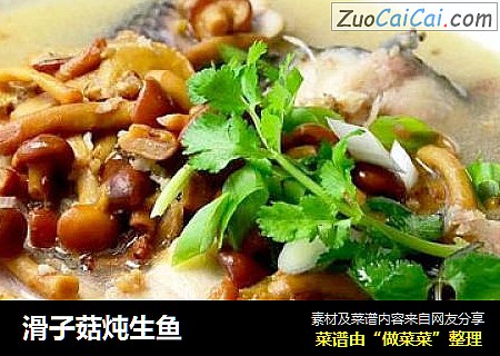 滑子菇炖生鱼