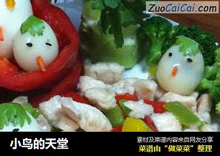 小鸟的天堂