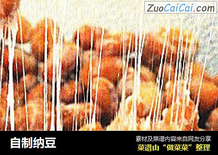 自制纳豆