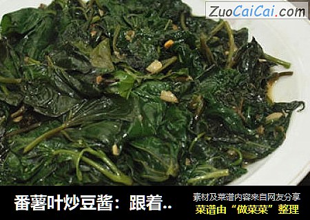 番薯叶炒豆酱：跟着民谣觅美食