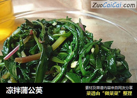 凉拌蒲公英
