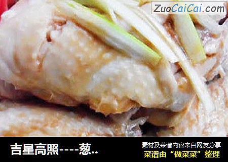 吉星高照----葱椒鸡