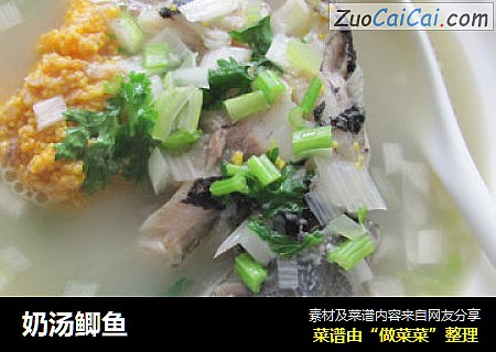 奶汤鲫鱼